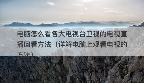电脑怎么看各大电视台卫视的电视直播回看方法（详解电脑上观看电视的方法）
