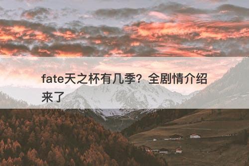 fate天之杯有几季？全剧情介绍来了