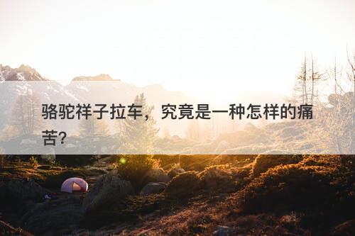 骆驼祥子拉车，究竟是一种怎样的痛苦？