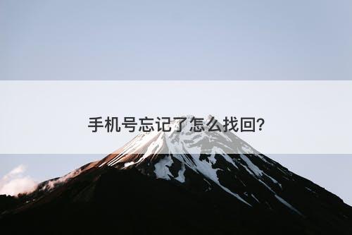 手机号忘记了怎么找回？