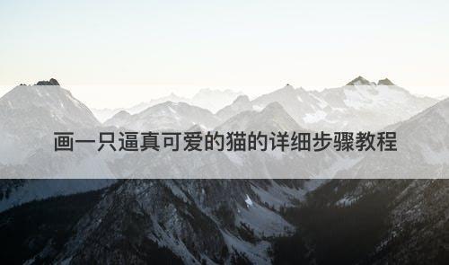 画一只逼真可爱的猫的详细步骤教程