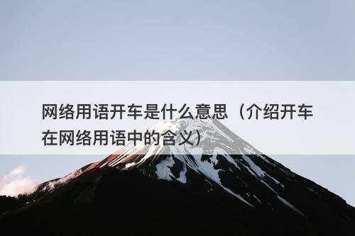 网络用语开车是什么意思（介绍开车在网络用语中的含义）