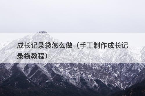成长记录袋怎么做（手工制作成长记录袋教程）