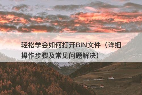 轻松学会如何打开BIN文件（详细操作步骤及常见问题解决）