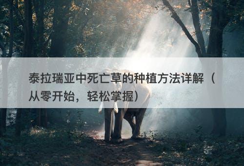 泰拉瑞亚中死亡草的种植方法详解（从零开始，轻松掌握）