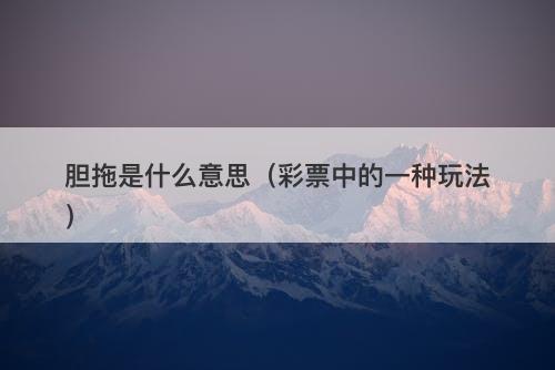 胆拖是什么意思（彩票中的一种玩法）