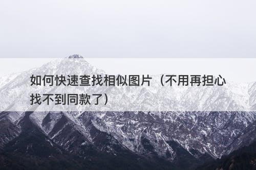 如何快速查找相似图片（不用再担心找不到同款了）
