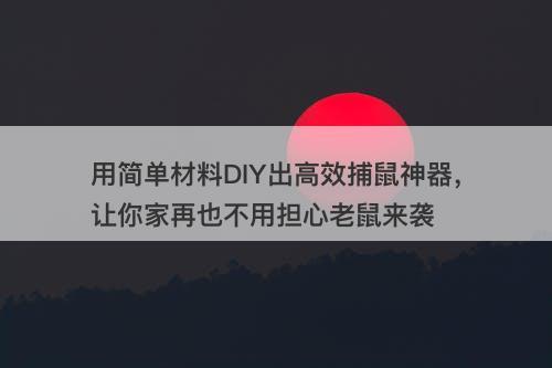 用简单材料DIY出高效捕鼠神器，让你家再也不用担心老鼠来袭