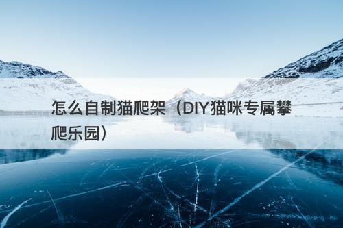 怎么自制猫爬架(DIY猫咪专属攀爬乐园)-图1 怎么自制猫爬架(DIY猫咪专属攀爬乐园)-图1