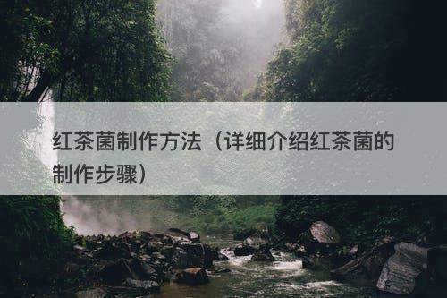 红茶菌制作方法(详细介绍红茶菌的制作步骤)-图1 红茶菌制作方法(详细介绍红茶菌的制作步骤)-图1