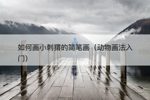 如何画小刺猬的简笔画(动物画法入门)-图1 如何画小刺猬的简笔画(动物画法入门)-图1