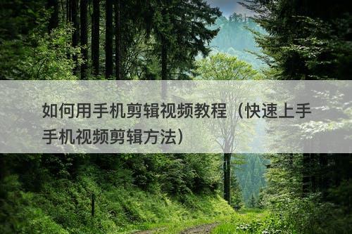 如何用手机剪辑视频教程（快速上手手机视频剪辑方法）-图1