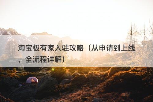 淘宝极有家入驻攻略（从申请到上线，全流程详解）