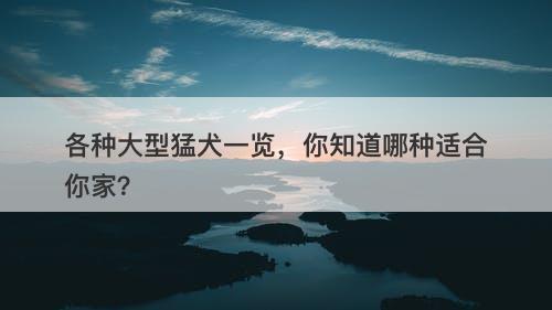 各种大型猛犬一览，你知道哪种适合你家？-图1