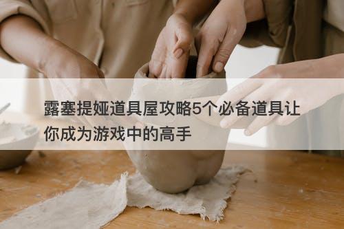 露塞提娅道具屋攻略5个必备道具让你成为游戏中的高手-图1