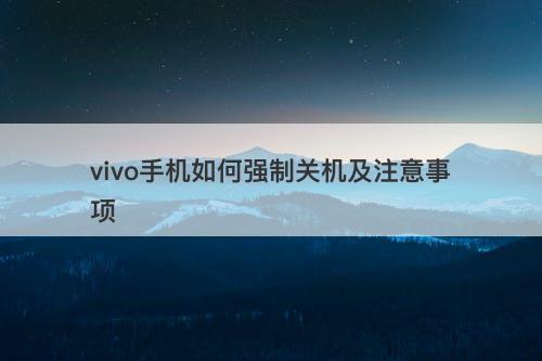 vivo手机如何强制关机及注意事项