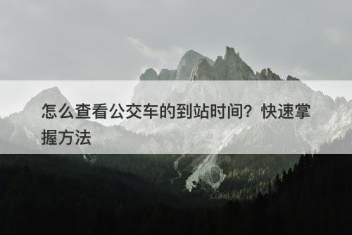 怎么查看公交车的到站时间？快速掌握方法-图1