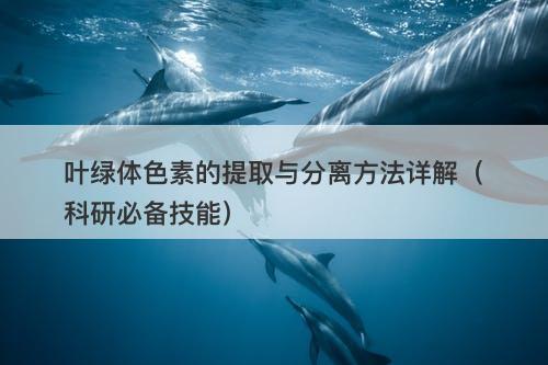 叶绿体色素的提取与分离方法详解（科研必备技能）