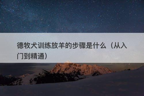 德牧犬训练放羊的步骤是什么（从入门到精通）-图1