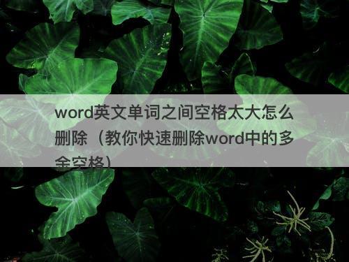 word英文单词之间空格太大怎么删除（教你快速删除word中的多余空格）-图1