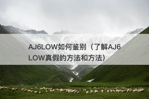 AJ6LOW如何鉴别（了解AJ6LOW真假的方法和方法）-图1