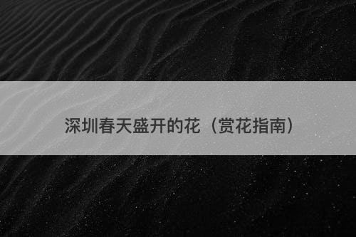 深圳春天盛开的花（赏花指南）