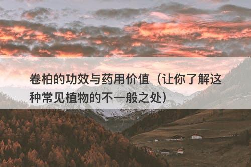 卷柏的功效与药用价值（让你了解这种常见植物的不一般之处）