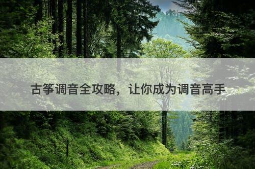 古筝调音全攻略，让你成为调音高手-图1
