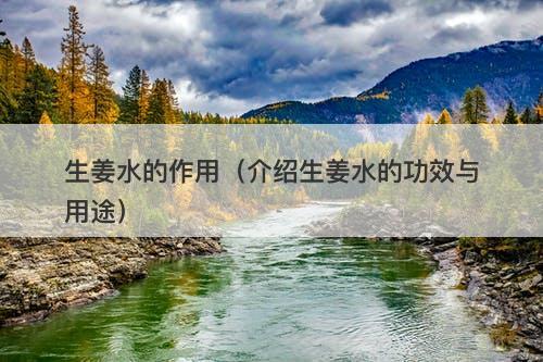 生姜水的作用(介绍生姜水的功效与用途)-图1 生姜水的作用(介绍生姜水的功效与用途)-图1