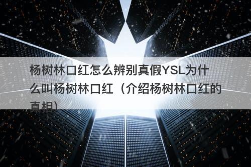 杨树林口红怎么辨别真假YSL为什么叫杨树林口红(介绍杨树林口红的真相)-图1 杨树林口红怎么辨别真假YSL为什么叫杨树林口红(介绍杨树林口红的真相)-图1