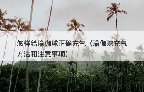 怎样给瑜伽球正确充气（瑜伽球充气方法和注意事项）