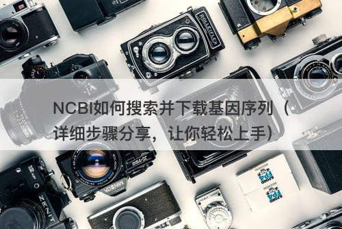 NCBI如何搜索并下载基因序列（详细步骤分享，让你轻松上手）