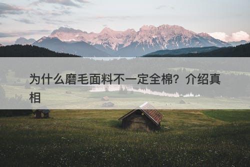 为什么磨毛面料不一定全棉？介绍真相