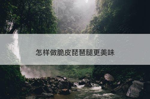 怎样做脆皮琵琶腿更美味