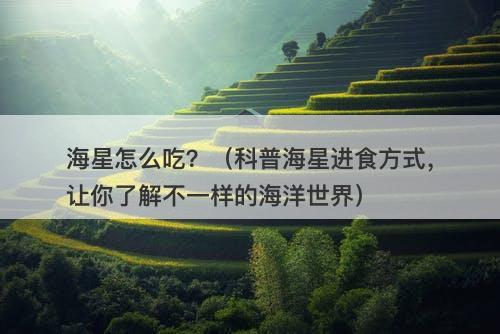 海星怎么吃?(科普海星进食方式,让你了解不一样的海洋世界)-图1 海星怎么吃?(科普海星进食方式,让你了解不一样的海洋世界)-图1