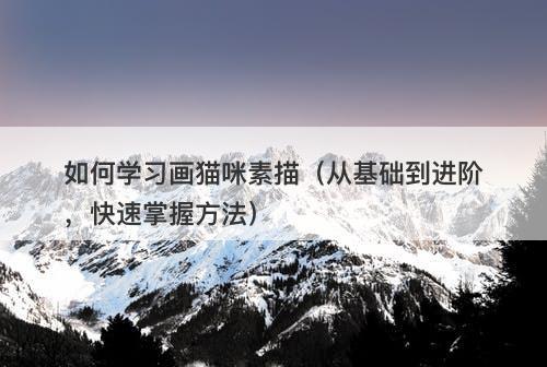 如何学习画猫咪素描(从基础到进阶,快速掌握方法)-图1 如何学习画猫咪素描(从基础到进阶,快速掌握方法)-图1
