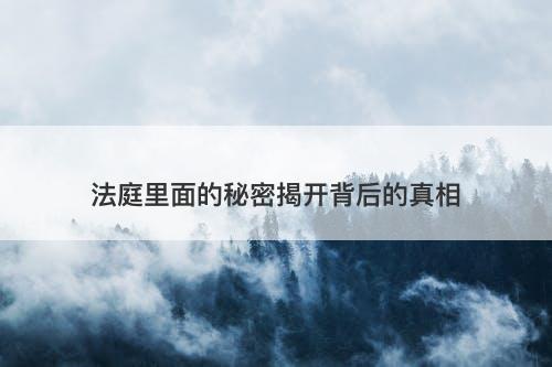法庭里面的秘密揭开背后的真相-图1 法庭里面的秘密揭开背后的真相-图1