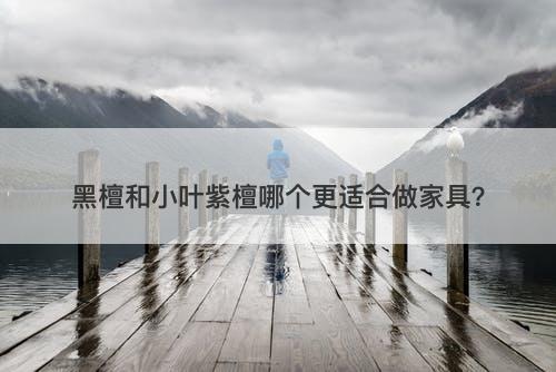 黑檀和小叶紫檀哪个更适合做家具？-图1