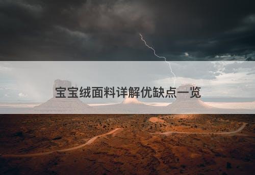 宝宝绒面料详解优缺点一览-图1