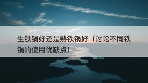 生铁锅好还是熟铁锅好（讨论不同铁锅的使用优缺点）