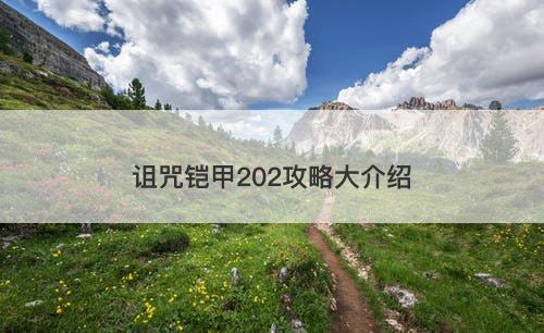 诅咒铠甲202攻略大介绍