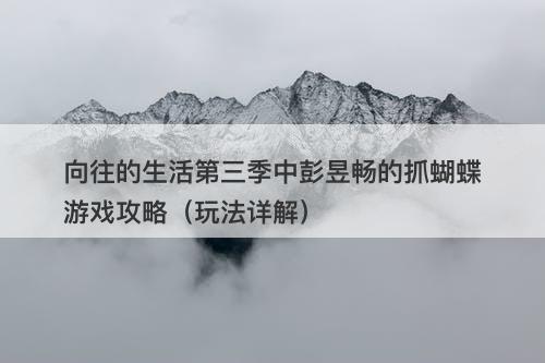 向往的生活第三季中彭昱畅的抓蝴蝶游戏攻略（玩法详解）
