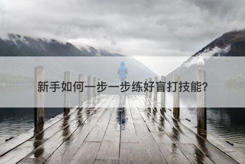 新手如何一步一步练好盲打技能？