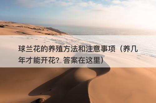 球兰花的养殖方法和注意事项（养几年才能开花？答案在这里）