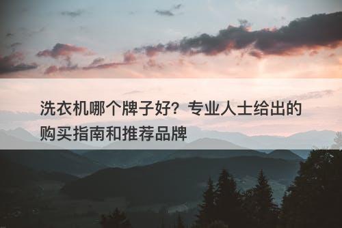 洗衣机哪个牌子好？专业人士给出的购买指南和推荐品牌