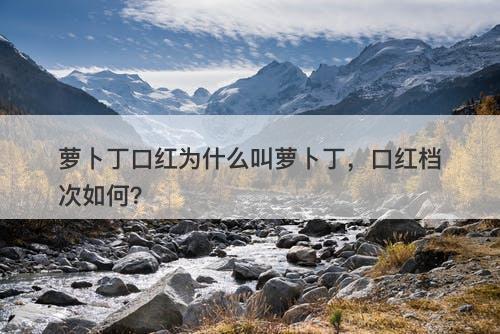 萝卜丁口红为什么叫萝卜丁，口红档次如何？