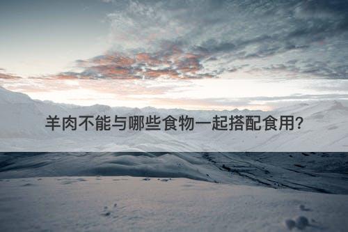 羊肉不能与哪些食物一起搭配食用？