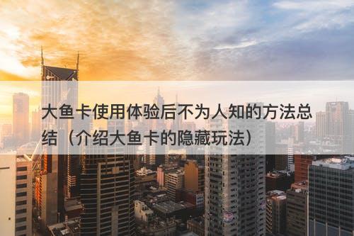 大鱼卡使用体验后不为人知的方法总结（介绍大鱼卡的隐藏玩法）