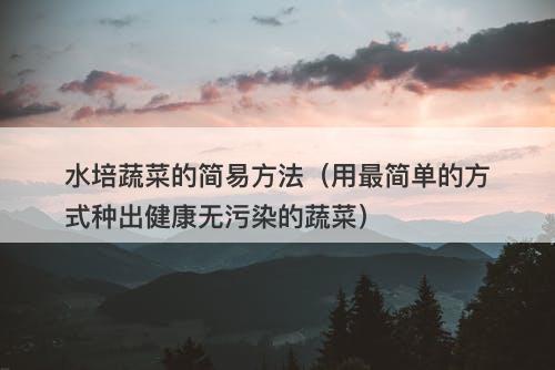 水培蔬菜的简易方法（用最简单的方式种出健康无污染的蔬菜）-图1