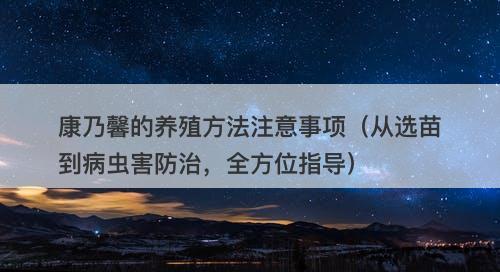 康乃馨的养殖方法注意事项（从选苗到病虫害防治，全方位指导）